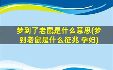 梦到了老鼠是什么意思(梦到老鼠是什么征兆 孕妇)